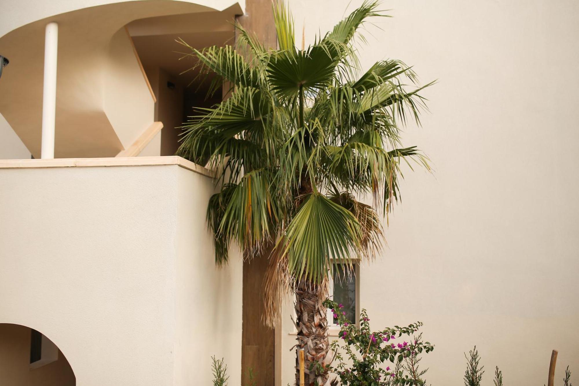 Modern Flat With Montgo View Denia Exterior foto